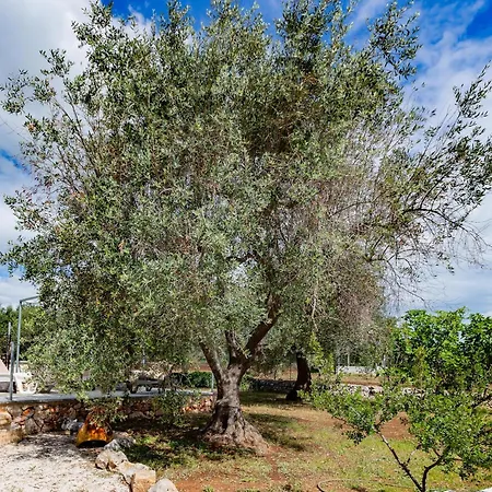 Appartement Trullo Lina